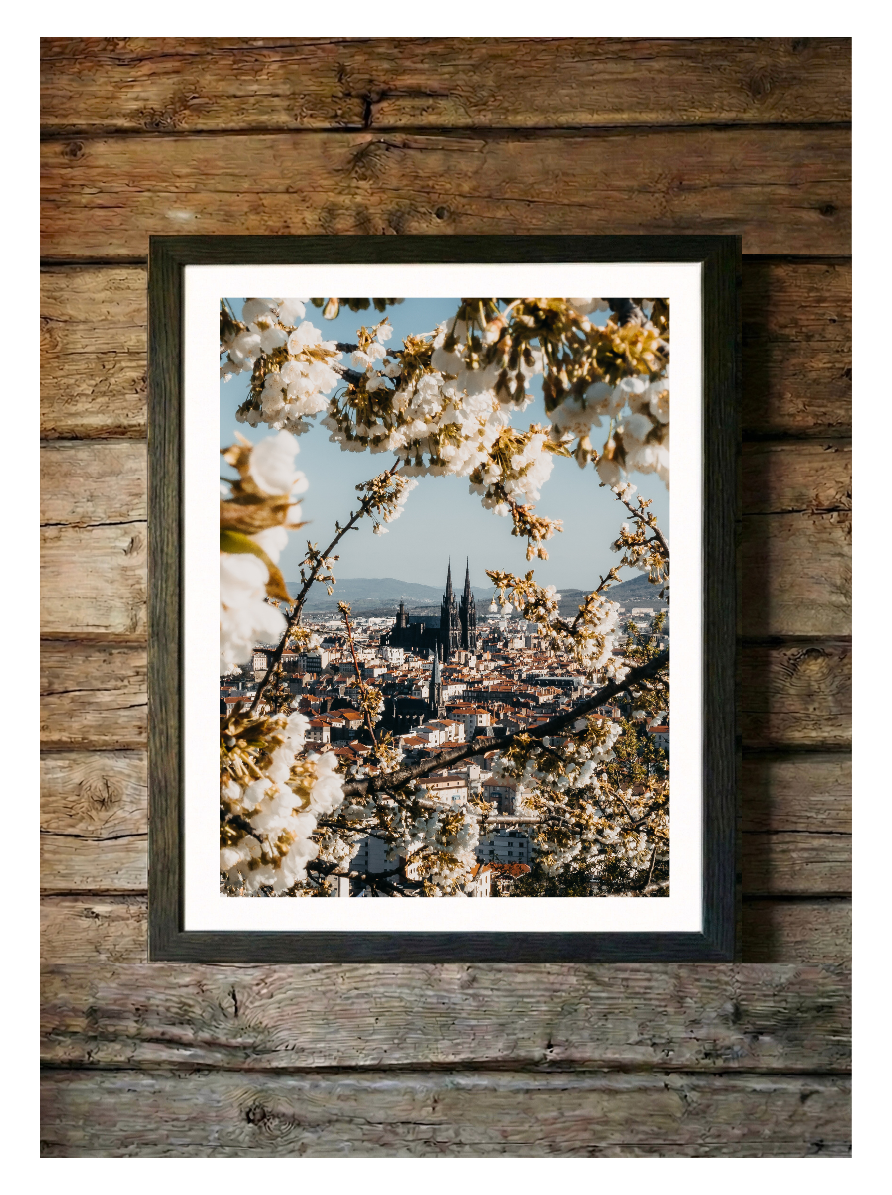 Photo du printemps à clermont ferrand - cathédrale de clermont-ferrand