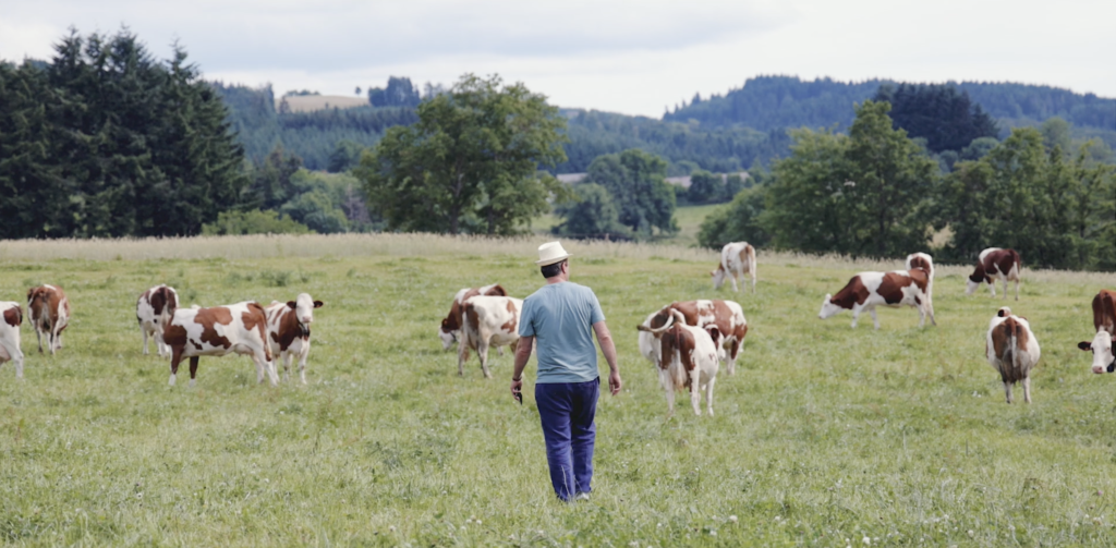 AOP FOURME D'AMBERT