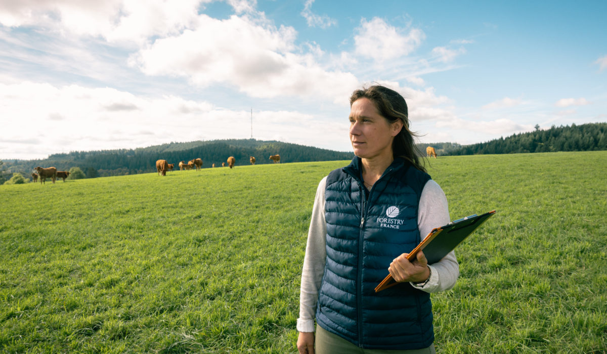 FORESTRY FRANCE - FLORIAN BOMPAN -252