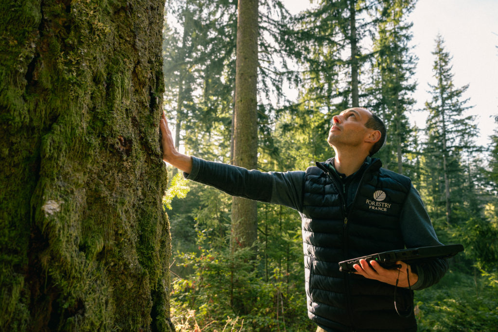 FORESTRY FRANCE FORET - REPORTAGE PHOTO - BANQUE D'IMAGES PROFESSIONNELLE