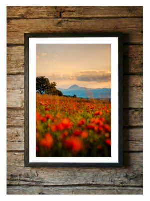 Puy de Dôme et Coquelicots N°1 – Tirage d&rsquo;Art