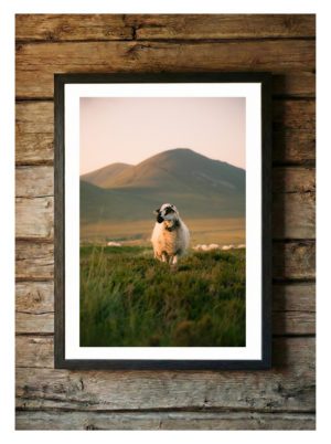 Pastorale, Sancy – Tirage d&rsquo;Art